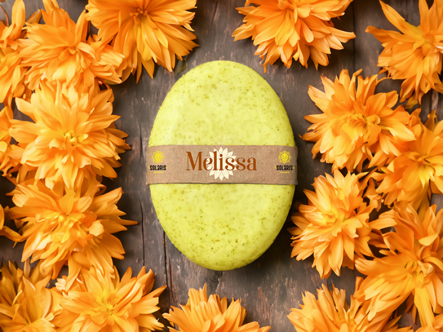 6686f4d60ce7e-melissa.png